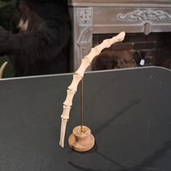 Sternum sur socle #0708