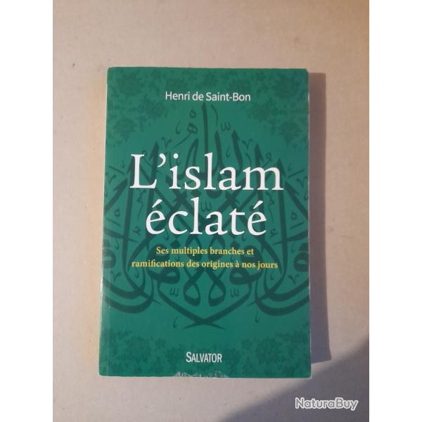 L'islam clat : ses multiples branches et ramifications des origines  nos jours
