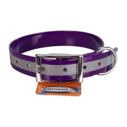 Collier biothane r&eacute;fl&eacute;chissant 25mm avec gravure - jokidog Violet 55 cm