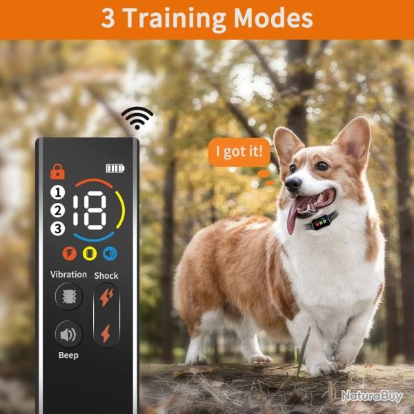 Collier d'Entranement pour Chien, tanche IP67, avec Tlcommande, 3 Modes