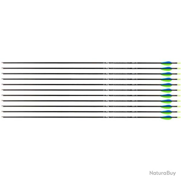 Fl�che Avalon Tyro 4.2 en carbone (nouvelles) 600 31" 1 plume bleue 2 plumes vertes