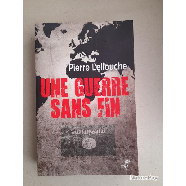 Une guerre sans fin - Pierre Lellouche