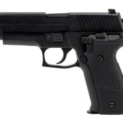 Raven R226 Avec Rails GBB Gaz