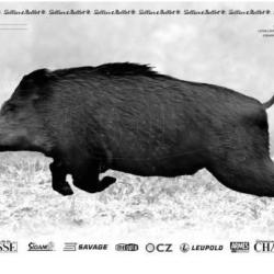 4 CIBLES SANGLIER Courant  plus  pastilles...