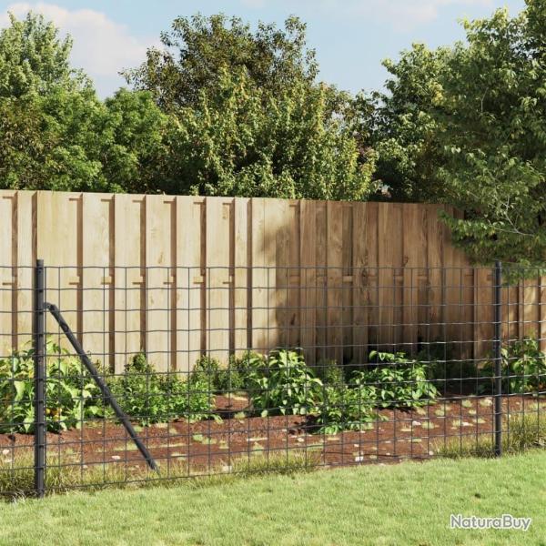 Cl�ture en treillis m�tallique anthracite 0,8x25 m