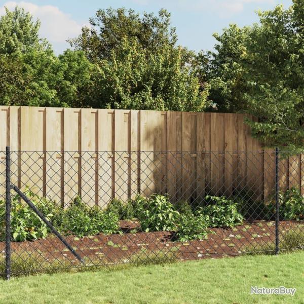 Cl�ture � mailles losang�es avec ancrage anthracite 0,8x25 m