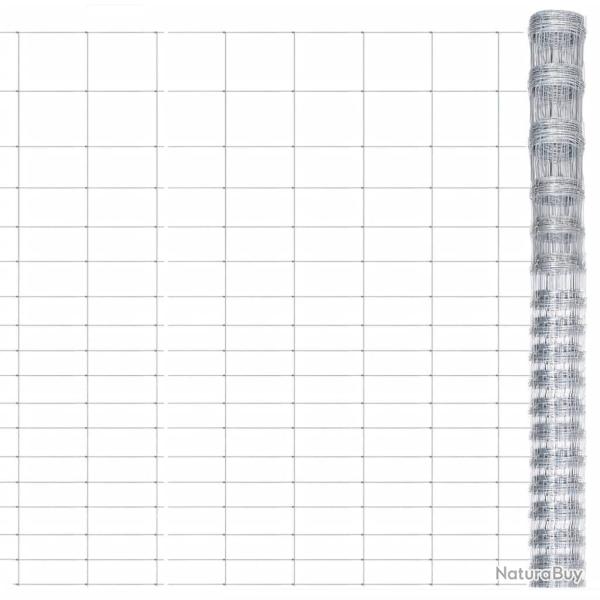 Clture de jardin Acier galvanis 50x1,25 m Argent alsavelo