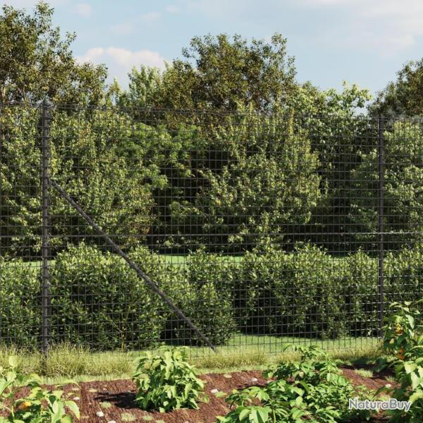 Cl�ture en treillis m�tallique anthracite 1,8x25 m