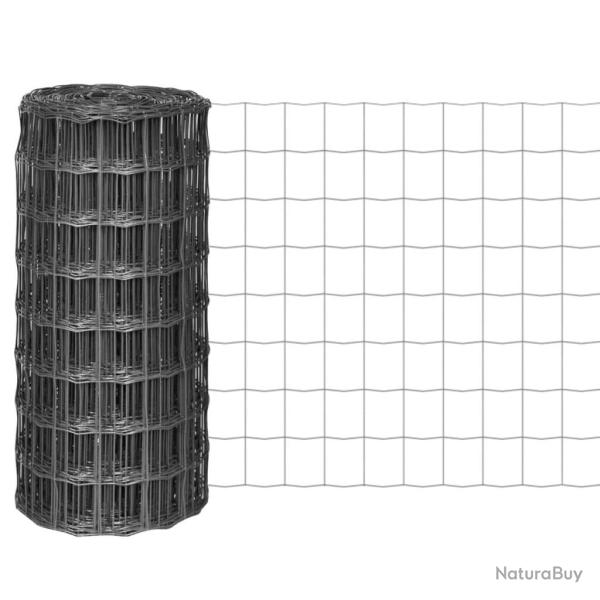 Cl�ture euro Acier 10 x 0,8 m Gris