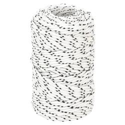 Corde de bateau tress&eacute; Blanc 2 mmx500 m Polyester