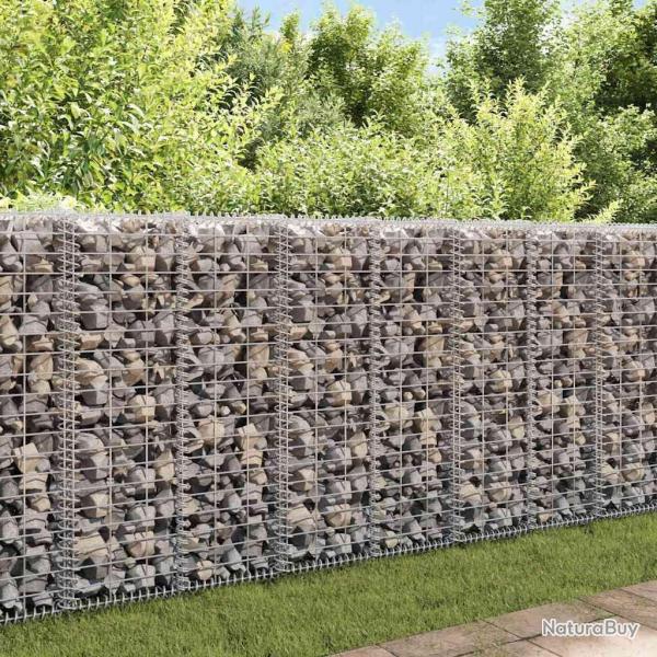 Mur � gabion avec couvercles Acier galvanis� 20x20x100 cm