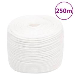 Corde de bateau Blanc complet 10 mm 250 m Polypropyl&egrave;ne