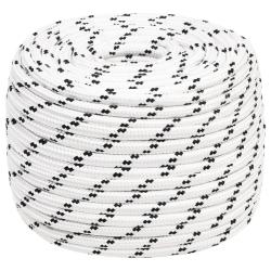 Corde de bateau tress&eacute; Blanc 12 mmx100 m Polyester