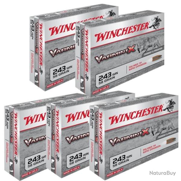 Balles Winchester Varmint X - Cal. 243 Win - 243 win / Par 5 / 65 Gr