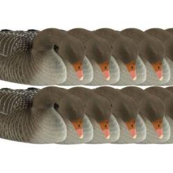 Coquille d'oie cendr&eacute;e floqu&eacute;e mangeuse x12