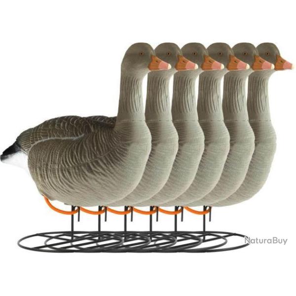 Forme d'oie cendr�e sur pattes floqu�e guetteuse x6