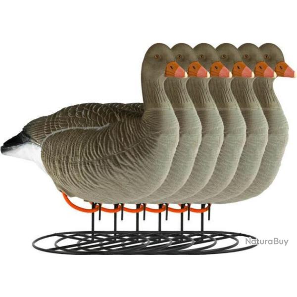 Forme d'oie cendre sur pattes floque active x6