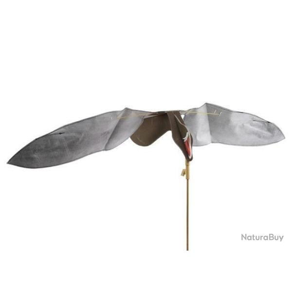 Hypaflap oie rieuse Sillosocks