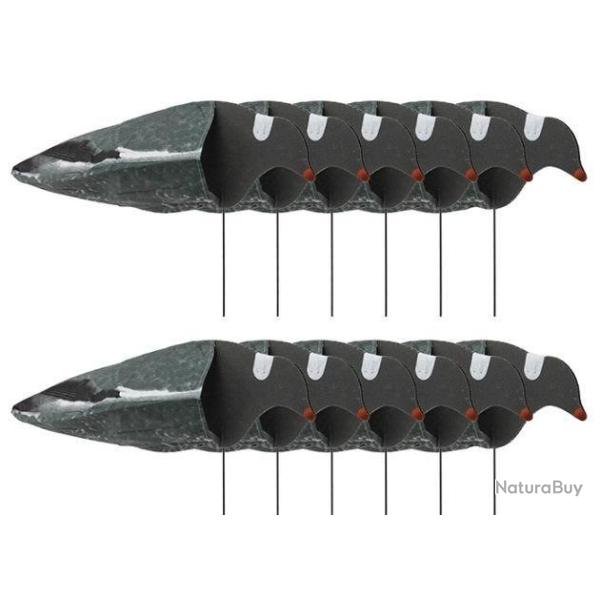 Forme manche � air pigeon ramier Sillosocks x12