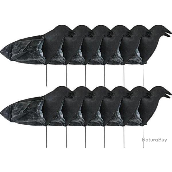 Forme manche � air corbeau Sillosocks x12