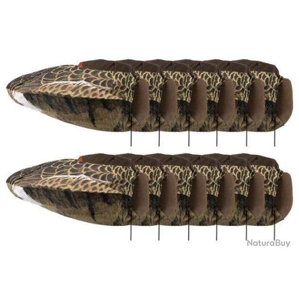 Forme manche � air oie rieuse dormeuse x12