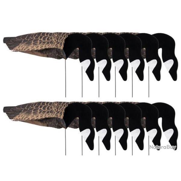 Forme manche � air bernache du canada mangeuse x12