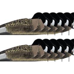 Forme manche &agrave; air FlockSox bernache du canada mangeuse x12
