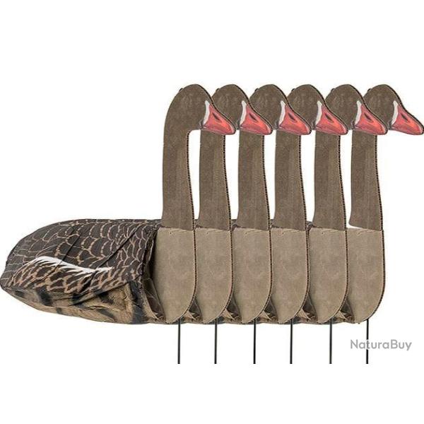 Forme manche � air oie rieuse active x6