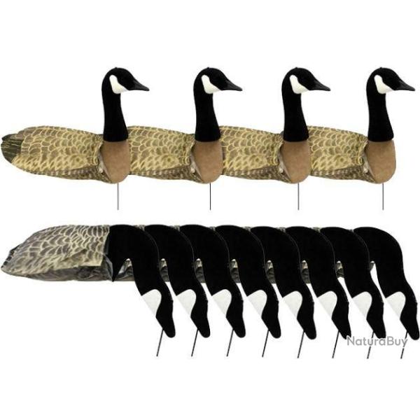 Forme manche � air Harvester bernache du canada x12