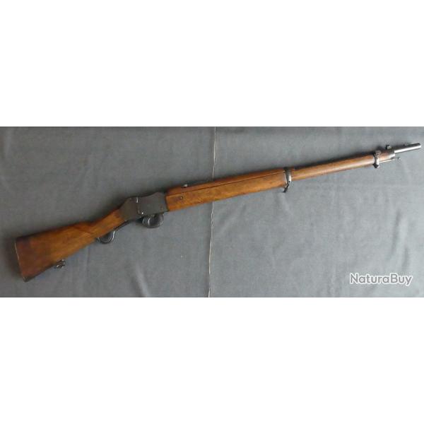 Peu courant fusil Martini Peabody mod�le 1874/1912