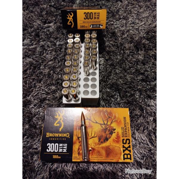 Balles 300 win mag browning bxs 180grs