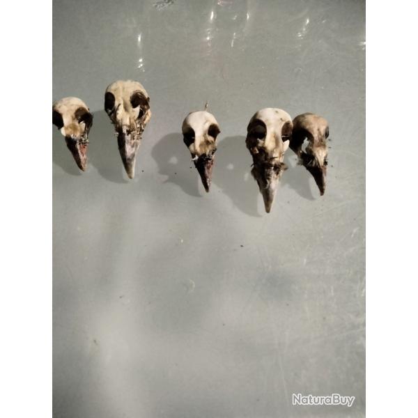 Lot crane perdrix rouge et faisan