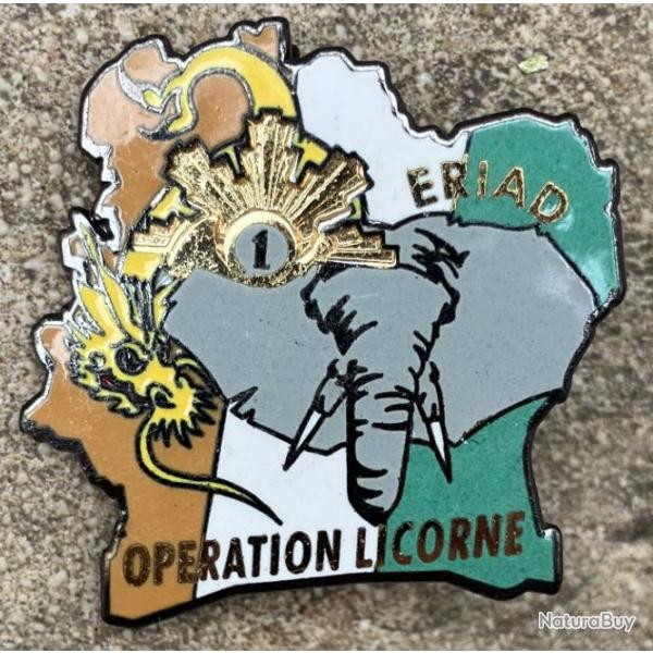 E.R.I.A.D 1� Rgt de Chasseurs-Op�ration Licorne
