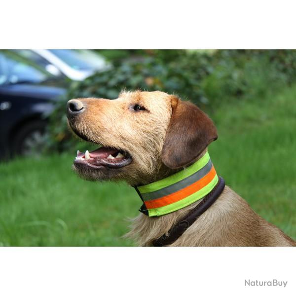 Collier de s�curit� r�fl�chissant pour chien 35 cm