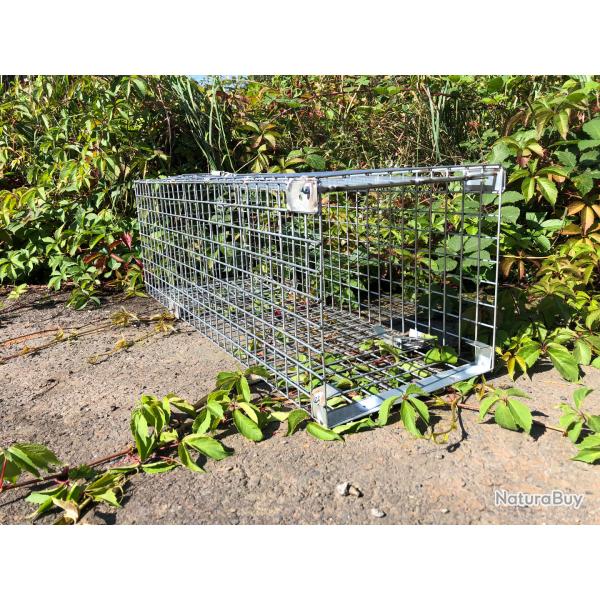 cage piege ragondins... 1 entr�e