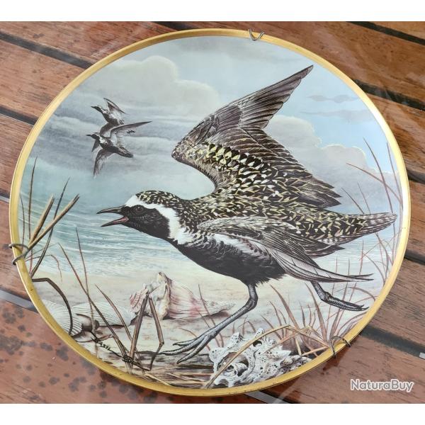 ASSIETTE �DITION LIMIT�E "AMERICAN GOLDEN PLOVER" sign�e