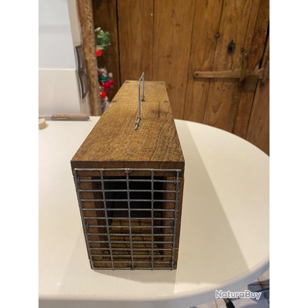 Pige  belette ou  mulot