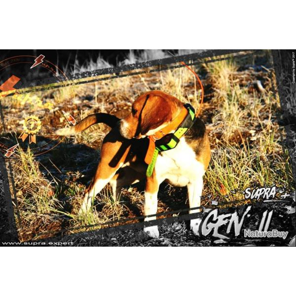 Antenne de collier ROG SUPRA compatible GARMIN 2