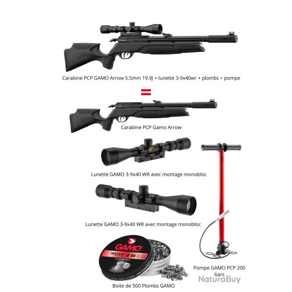 Pack Carabine PCP GAMO Arrow 5.5mm 19.9J + lunette 3-9x40wr + plombs + pompe