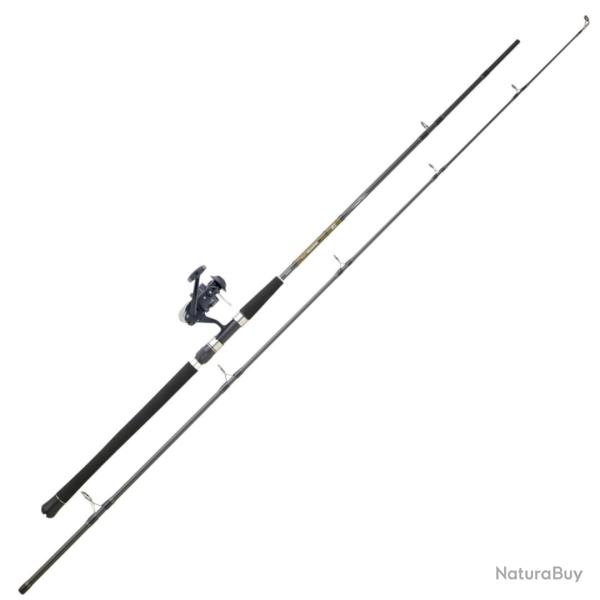 Combo Spinning Daiwa Set Silure 06 2m60 2 8kg 80 - 180g 5000 970g