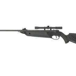Pack complet Carabine BAY CAT 4.5mm + lunette 4X20 + 100 cibles + 250 plombs Beeman