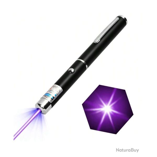 Pointeur Laser Bleu Violet Longue Distance R�union Diaporama Loisir Signalement Position avec Piles