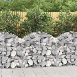 Panier de gabions arqu&eacute; 100x30x80/100 cm Fer galvanis&eacute; alsavelo