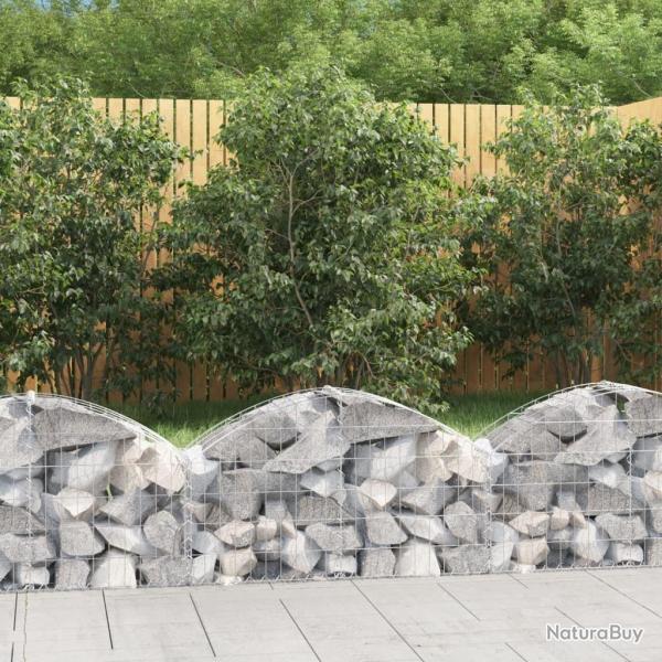 Panier de gabions arqu� 100x30x40/60 cm Fer galvanis�