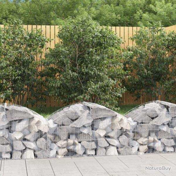 Panier de gabions arqu� 100x50x40/60 cm Fer galvanis� alsavelo