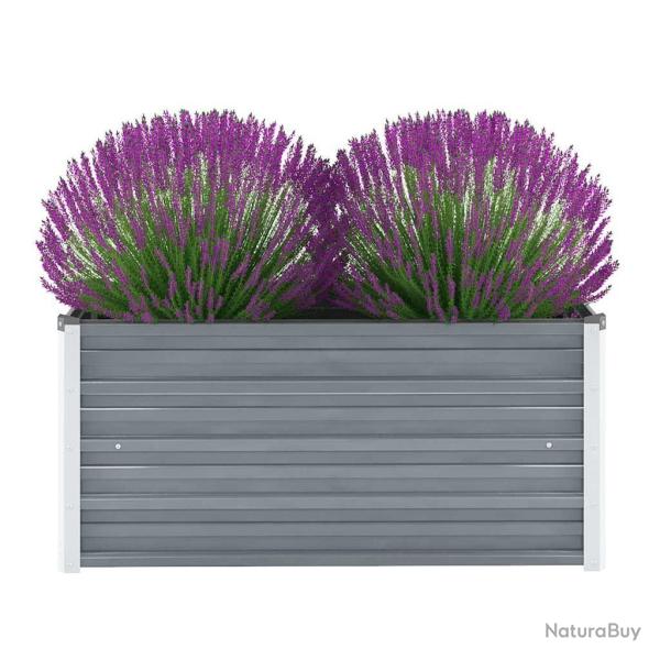 Lit sur�lev� de jardin Acier galvanis� 100x40x45 cm Gris