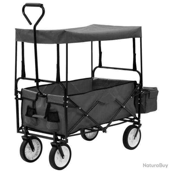 Chariot  main pliable avec toit Acier Gris alsavelo