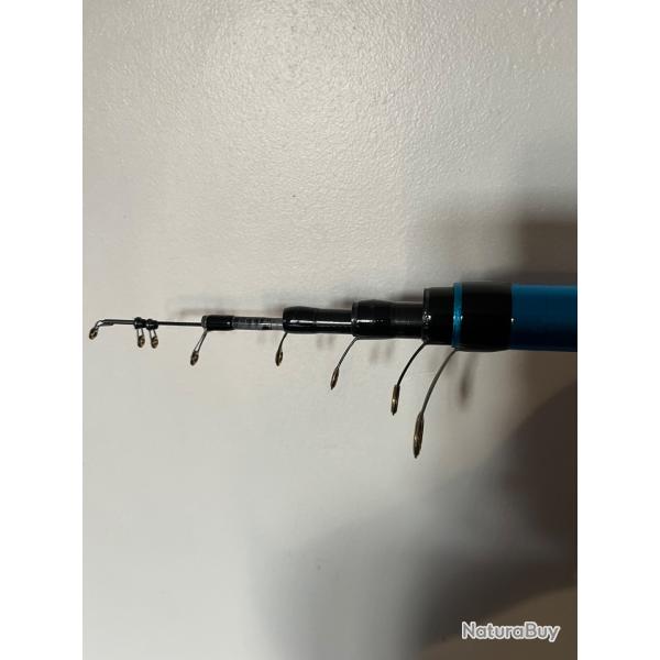 1 canne bolognaise 6 m suprma  top class Mitchell pche occasion