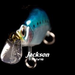 LEURRE JACKSON PINTAIL 48 100/48GR SRI