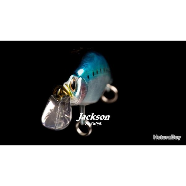 LEURRE JACKSON PINTAIL 48 100/48GR SRI
